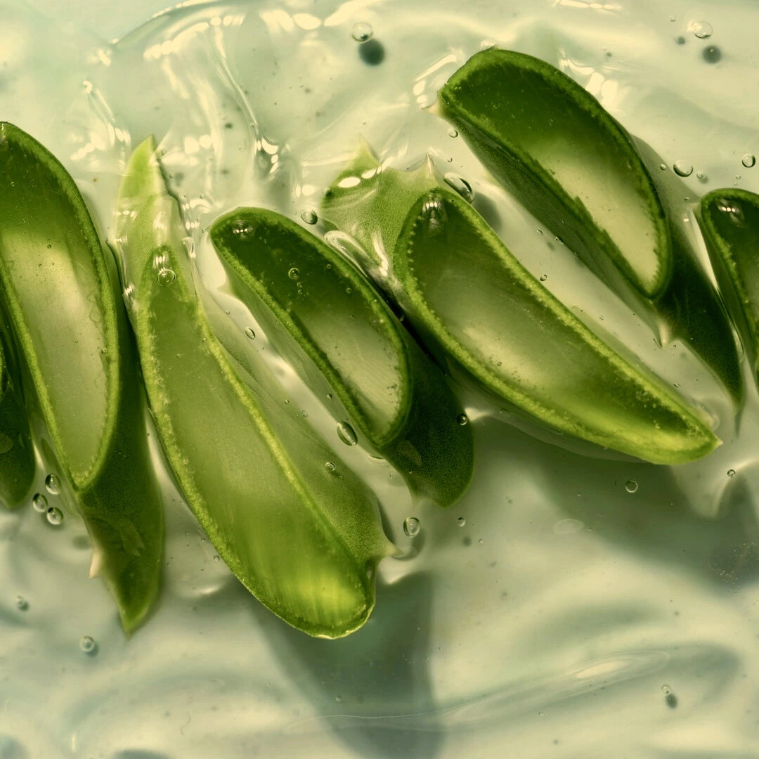 Close-up of green aloe vera leaves on a clear gel background for the Hydra Toning Mist 